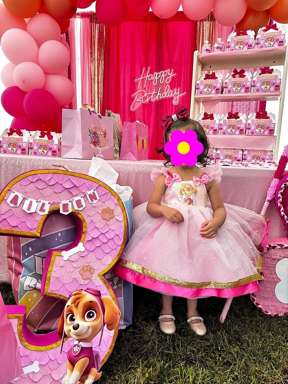 Skye Paw patrol toddler dress